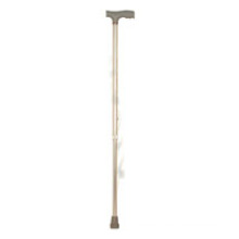 Hospital Walking Stick